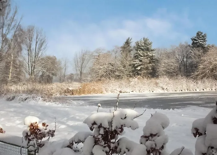 Stunning In With Wifi Chaam